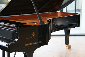 Besbrode Pianos 全英国最大的钢琴经销商之一