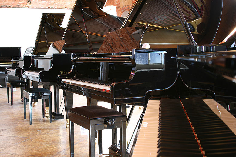 浏览全新施坦威 系列的所有钢琴